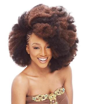 JANET/HH AFRO KINKY BULK  14"