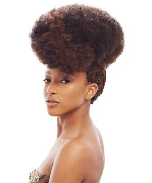 JANET/HH AFRO KINKY BULK  14"